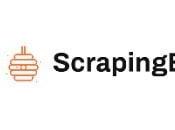 ScrapingBee Review