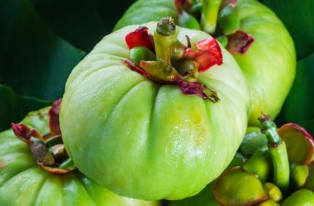 Garcinia Cambogia: Benefits, Side Effects and How to Use