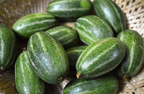 Pointed Gourd (Parwal): Benefits, Nutrition, Side Effects and How to Use