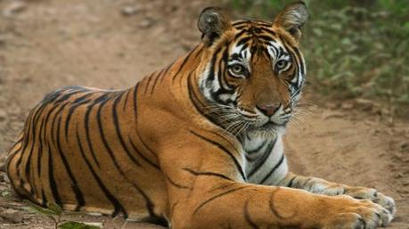 Documentary Recommendations