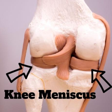 My Knee Hurts When I Bend It and Straighten It:   A Quickstart Guide