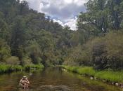 Buller Huts Trail Australia