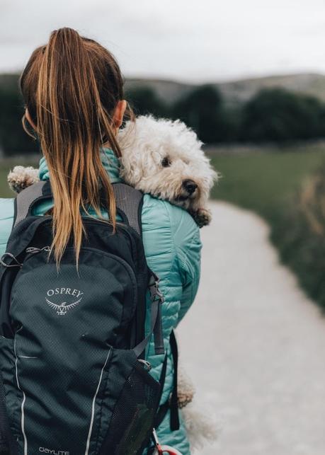 A group hiking meeting up in the Yorkshire Dales using the Hiiker app A person with a dog on her back
Description automatically generated with low confidence