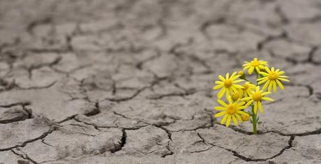 Building resilience for challenging times – Learn to be more Resilient