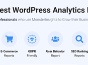 Increase Website Traffic Organically with MonsterInsights?