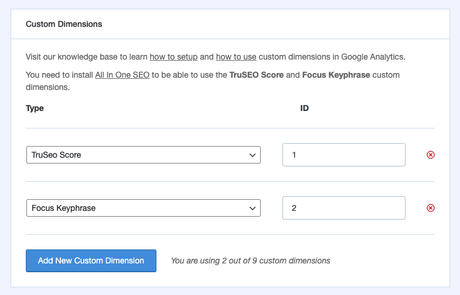 monsterinsights dimensions