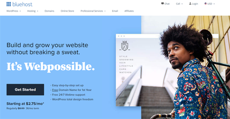 bluehost wordpress hosting