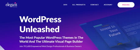 17+ Best WordPress Theme Packages in 2021 (Developer Packs)