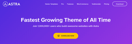 17+ Best WordPress Theme Packages in 2021 (Developer Packs)