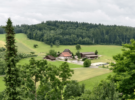 Photoessay: A paradise called Regensberg, a hill town near Zurich