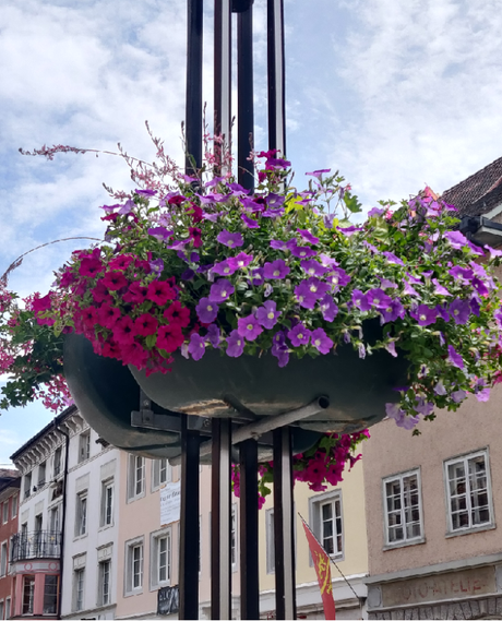 Diessenhofen: a quaint river side village near Zurich