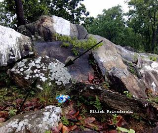 Lichens as indicators of less air pollution in and around Ranchi city, India.