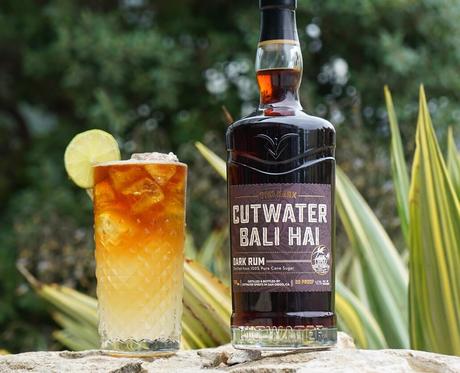 Refreshing and Delicious Summer Rum Recipes For National Rum Month