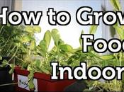 Choose Best Grow Tents?