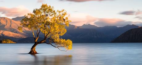 The Best Time to Visit New Zealand