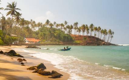 Coconut palm and sun lights through trees on beach with fishermen which is going to the water, Mirissa, Sri Lanka