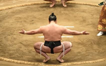 Sumo wrestling in Tokyo