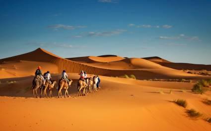 Sahara desert camels trekking tours