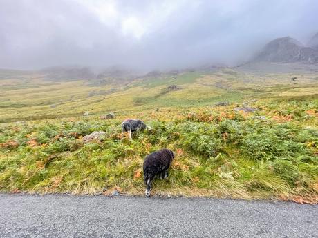 Our Family Holiday To The Lake District 2021