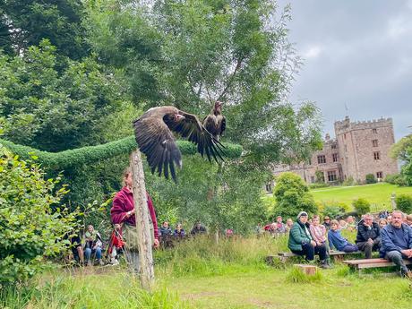 Our Family Holiday To The Lake District 2021