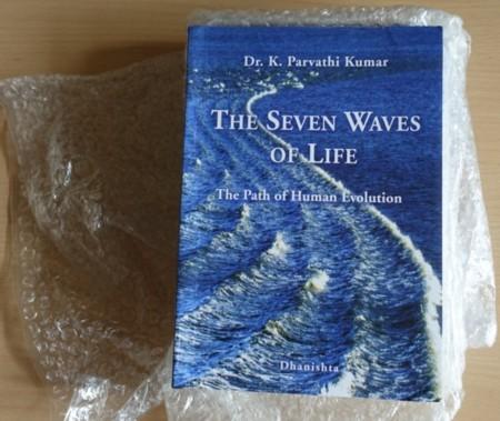 Unpacking “The Seven Waves of Life”