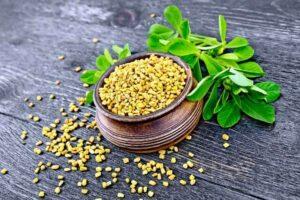 Fenugreek seeds 