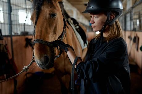 Let’s Talk About Taking Care Of Your Pets