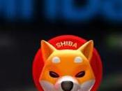 Shiba Coin Holders Ready Rise! Token Price Forecast