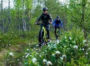 Mountain Biking: Bike Year-round Bicycle Terrains