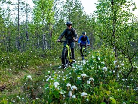 Mountain biking: Fat bike is a year-round bicycle for all terrains