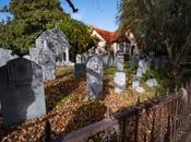 Davis Graveyard: Best Free Halloween Attraction Back