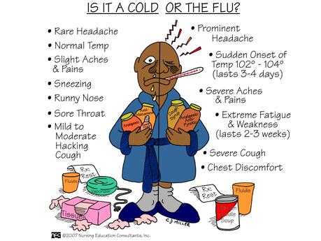 Cold and Flu Season is Coming!!