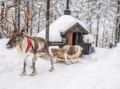 Reindeer Santa Claus’ Helper Real Identification Animal Lapland