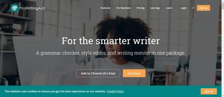 prowritingaid- best plagiarism checker tools