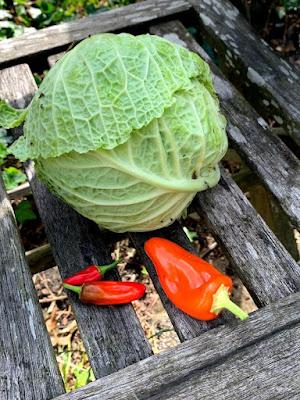 The Veg Diaries - as summer ends