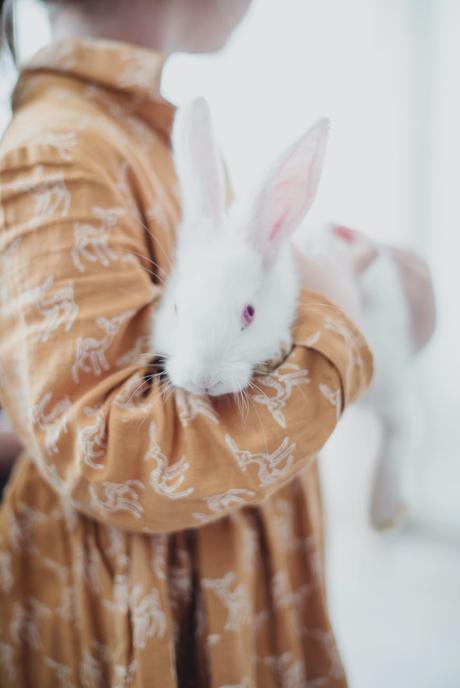 Adopting A Bunny? Here’s Everything You Need To Know