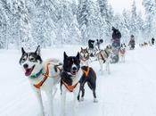 Finnish Lapland Travel Guide Things Finland Winter