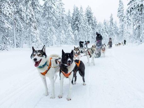 Finnish Lapland Travel Guide – 10 things to do in Finland in winter