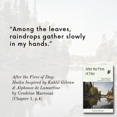 ‘After the Fires of Day’: Favorite haiku from the book