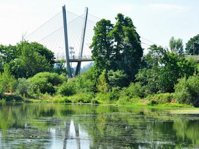 WILDLIFE VIEWING AT THE DELTA PONDS IN EUGENE, OREGON Guest Post by Caroline Hatton at The Intrepid Tourist