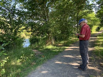 WILDLIFE VIEWING AT THE DELTA PONDS IN EUGENE, OREGON Guest Post by Caroline Hatton at The Intrepid Tourist