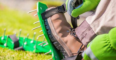 13 Lawn Care Gifts Ideas – For Dad And Lawncare Enthusiasts