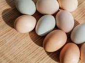 Make Hard-Boiled Eggs? Best Cooking Tips