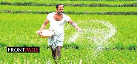 No pathogenic microorganisms in imported organic fertilizers: Agriculture Ministry