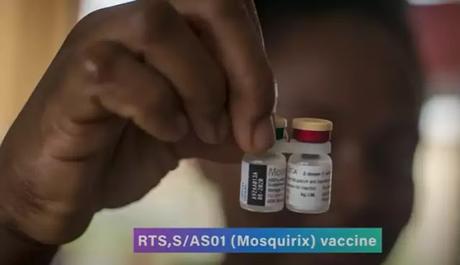 Malaria Vaccine Malaria Vaccine