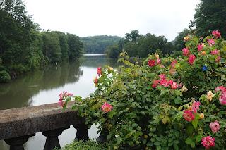 ROSALYNN CARTER BUTTERFLY TRAIL