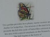 Rosalynn Carter Butterfly Trail