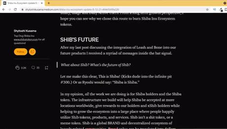 Shiba Inu become the global payment system Shiba Inu become the global payment system