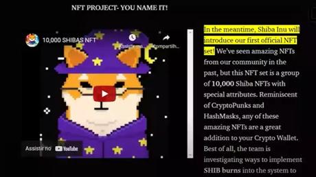 shiba inu NFT shiba inu NFT