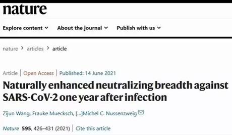 SARS Cov2 infection SARS Cov2 infection